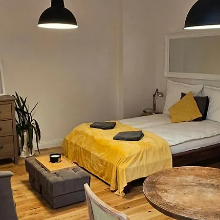 Brainy - South * Bydgoszcz