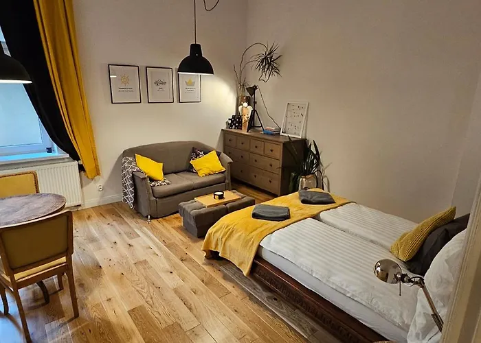 Brainy - South Apartman